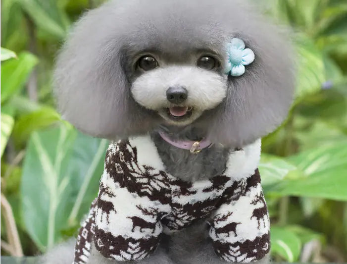 Cozy Canine Fleece Fashion Outfit - Perfect for Christmas!