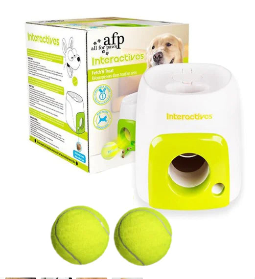 TreatQuest Agility Trainer Smart Dog Interactive Reward Machine