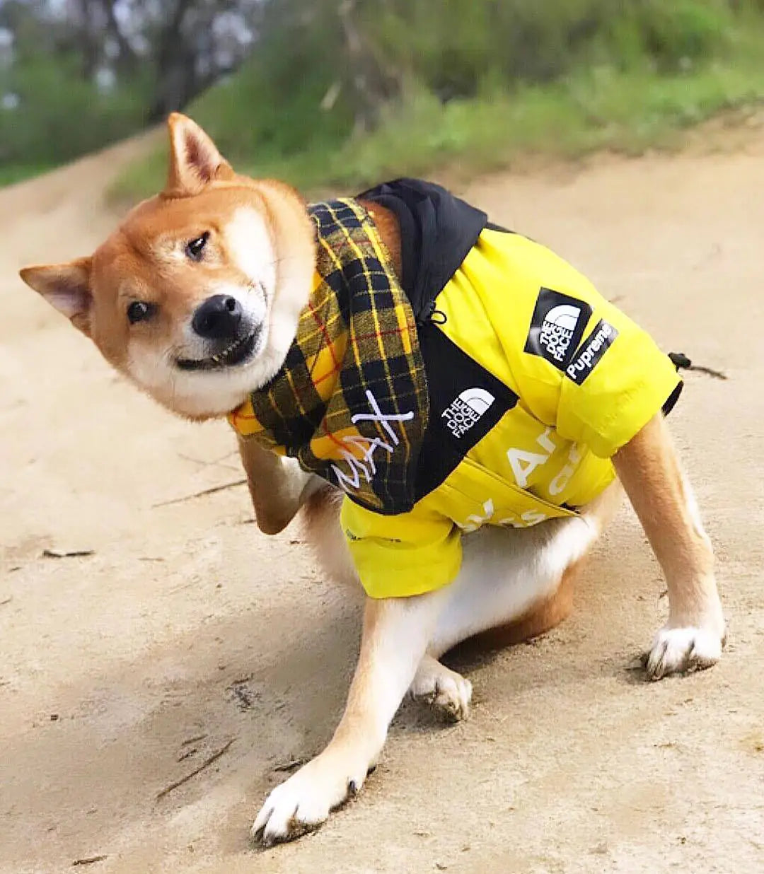 Splish Splash Canine Raincoat