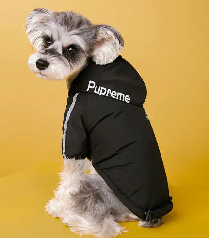Cozy Canine Padded Winter Coat for pets