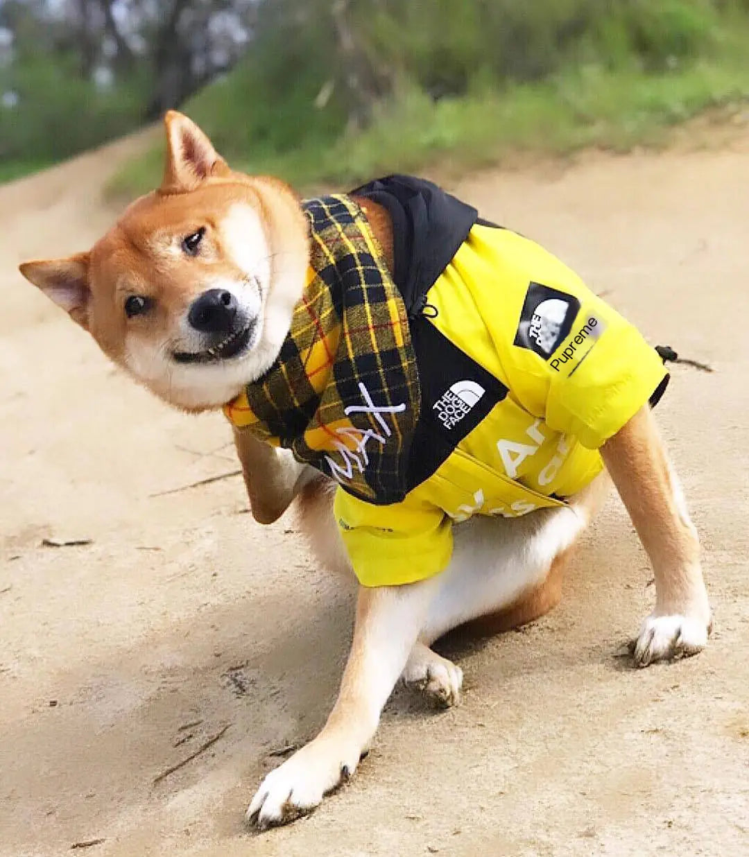 Splish Splash Canine Raincoat
