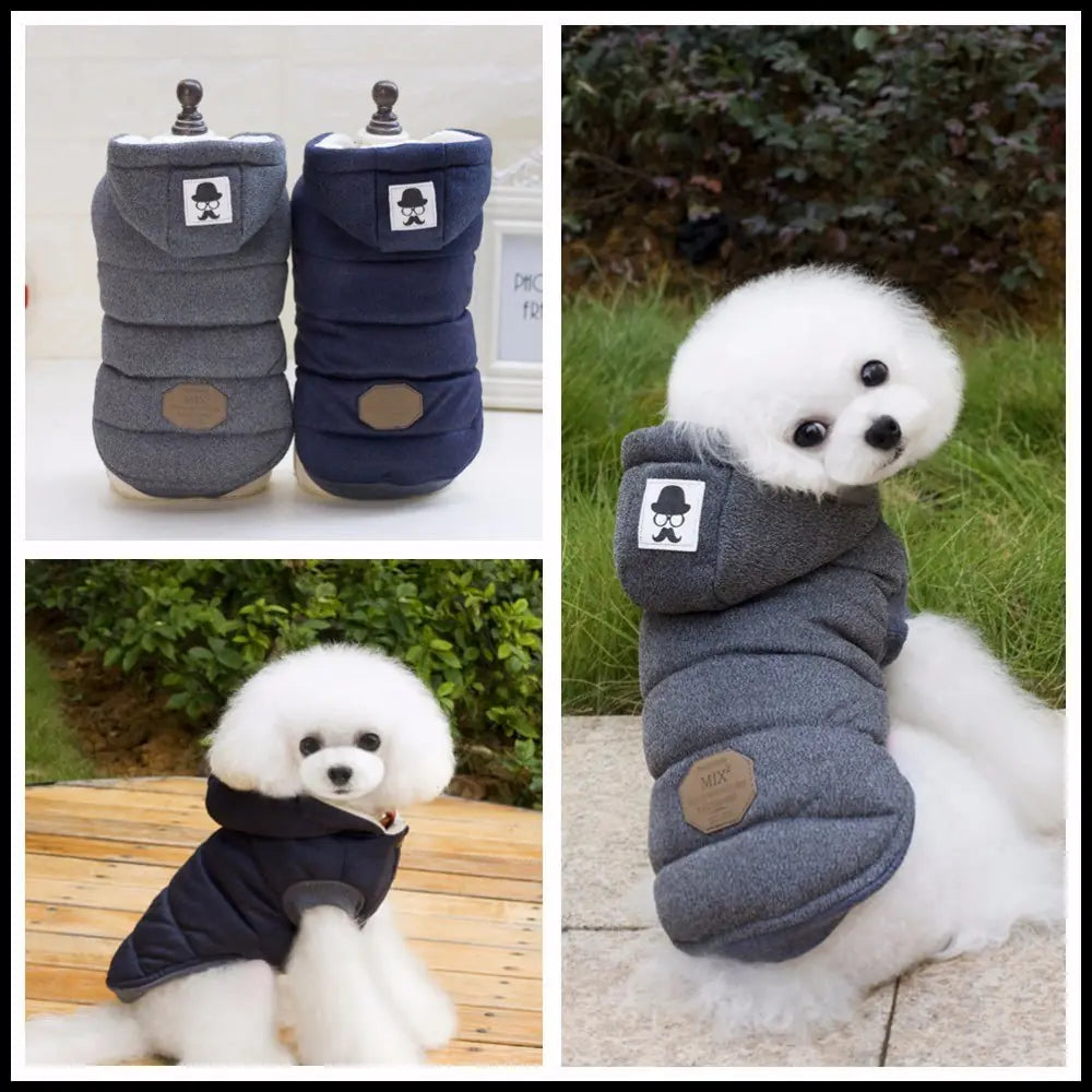 Pooch Perfect Winter Wear