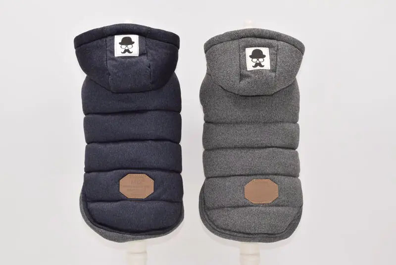 Pooch Perfect Winter Wear