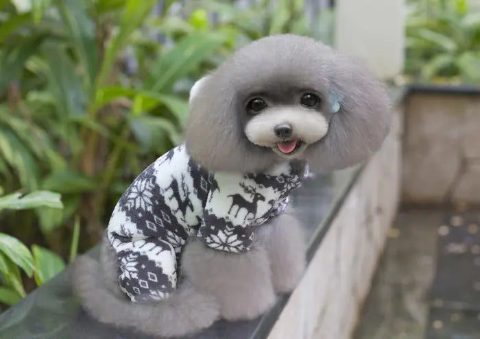 Cozy Canine Fleece Fashion Outfit - Perfect for Christmas!