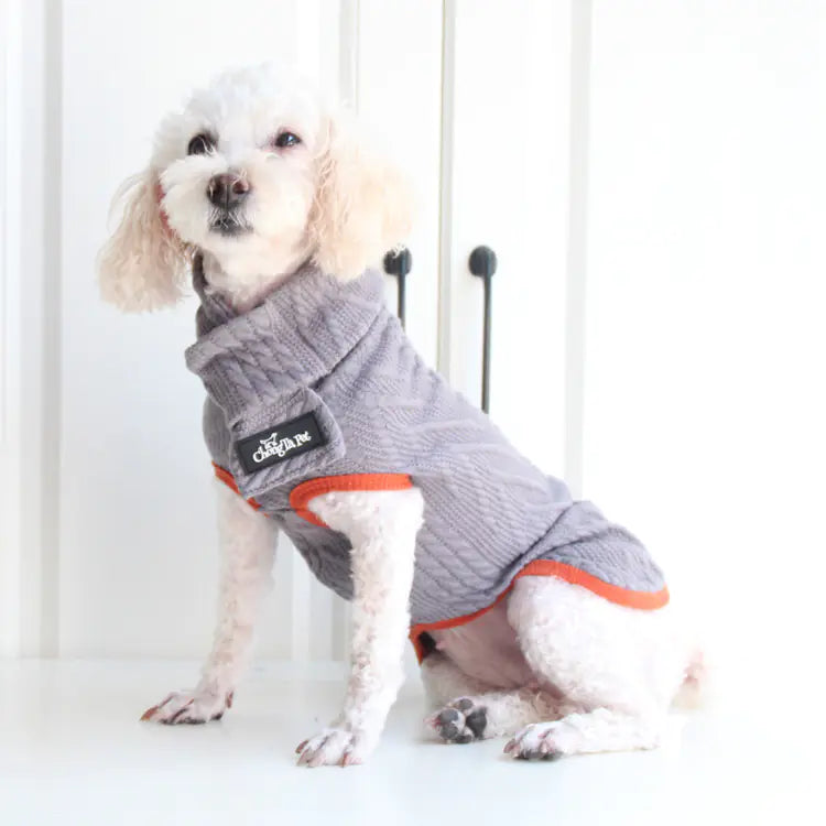 Tail-Wagging Vintage Vibe Dog Sweater