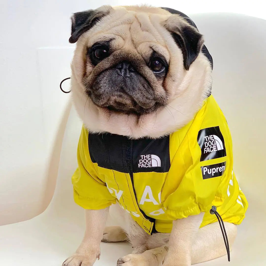 Splish Splash Canine Raincoat