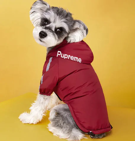 Cozy Canine Padded Winter Coat for pets