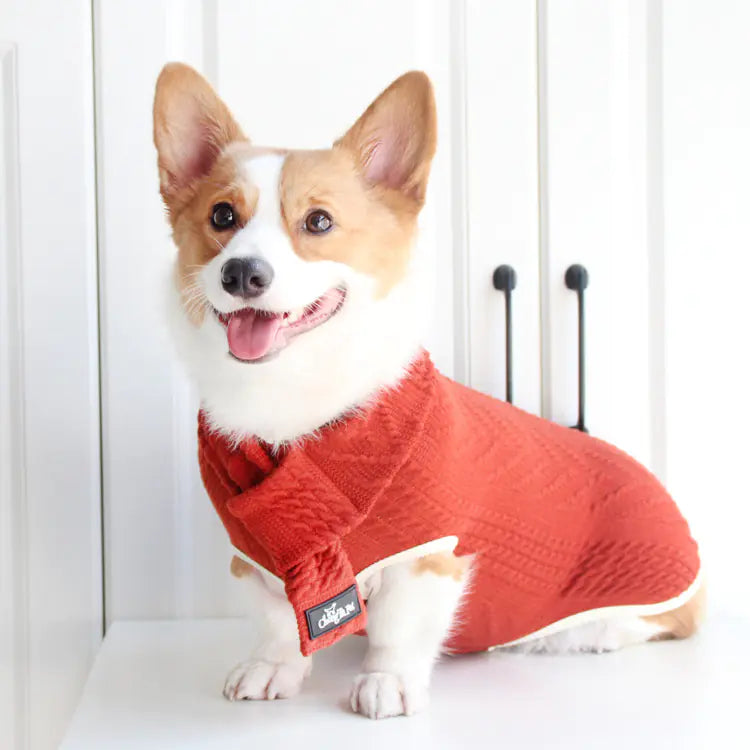 Tail-Wagging Vintage Vibe Dog Sweater