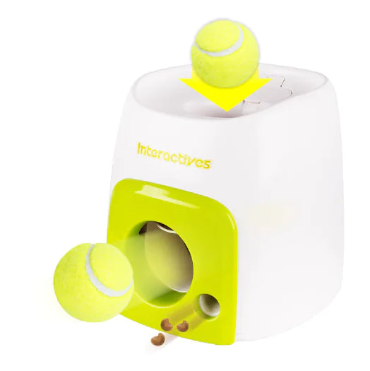TreatQuest Agility Trainer Smart Dog Interactive Reward Machine