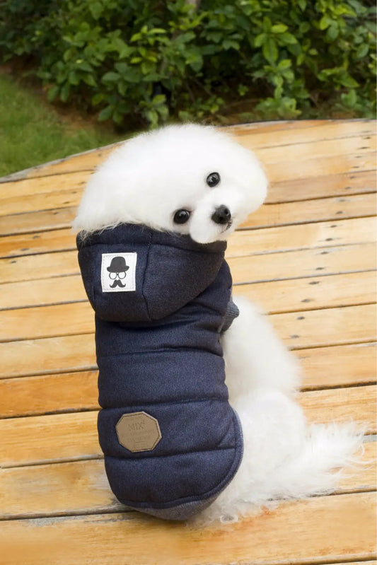 Pooch Perfect Winter Wear