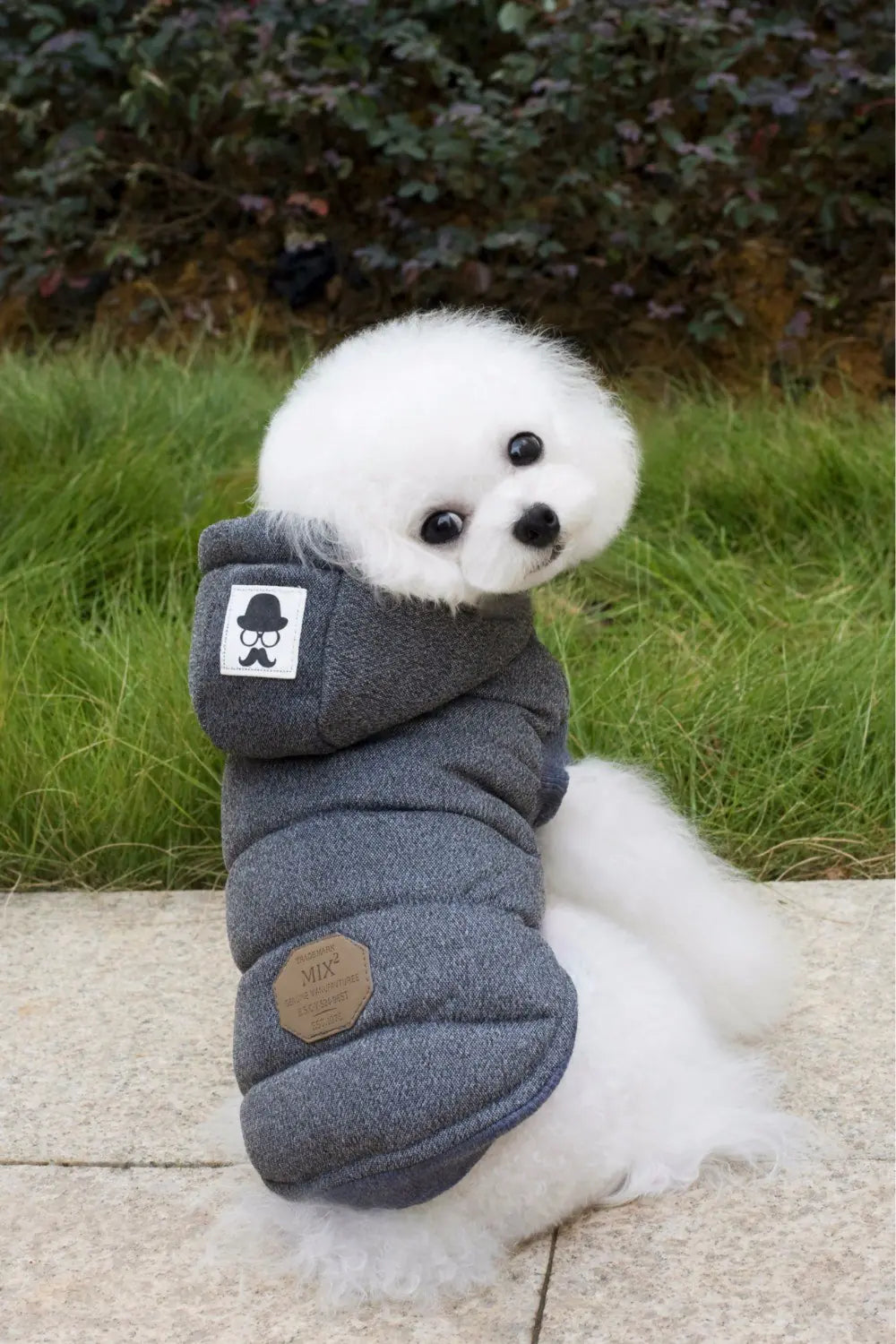 Pooch Perfect Winter Wear